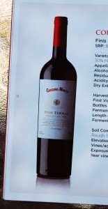 2010 Cousiño-Macul Finis Terrae