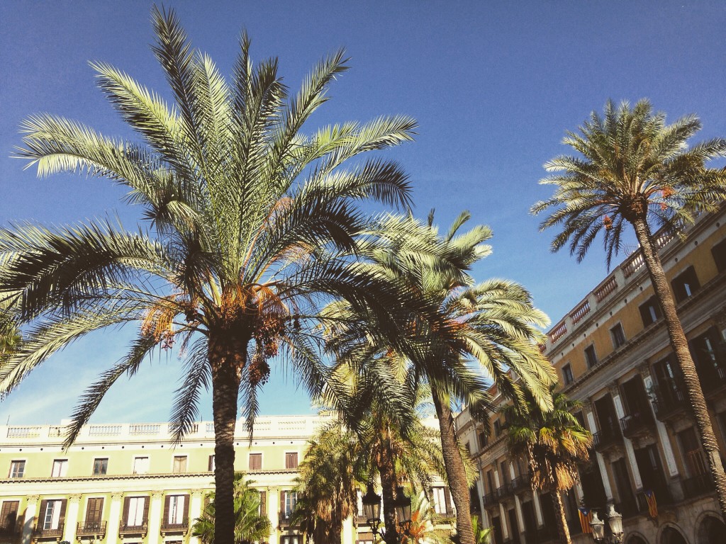 palmtrees