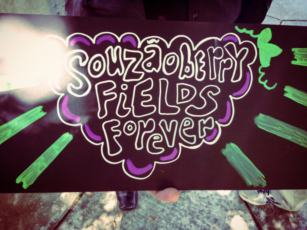 souzaoberryfieldsforever